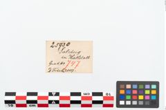 Etikett zu Bronzebrillenfibel (NHMW-PRAE-025930)